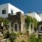 Apollon-Artemis Apartments_best deals_Apartment_Cyclades Islands_Sifnos_Apollonia