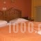 Plumeria Flowery_lowest prices_in_Hotel_Central Greece_Fokida_Delfi