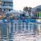 Lido Hotel_best prices_in_Hotel_Peloponesse_Korinthia_Stymfalia