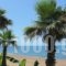 Ionion Beach Apartment Hotel_accommodation_in_Apartment_Peloponesse_Ilia_Vartholomio