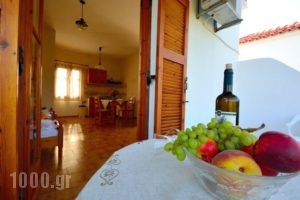 Studios Calvinos_lowest prices_in_Hotel_Aegean Islands_Samos_Marathokambos