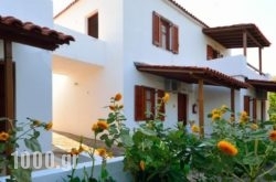 Studios Calvinos in Samos Rest Areas, Samos, Aegean Islands