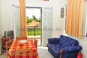 Captain's Villas_accommodation_in_Villa_Ionian Islands_Kefalonia_Kefalonia'st Areas