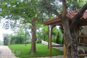 Natasa_best prices_in_Hotel_Thessaly_Magnesia_Pilio Area