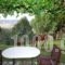 Aphrodite'S Inn_best prices_in_Hotel_Peloponesse_Achaia_Kalavryta