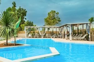 Oasis Hotel_best prices_in_Hotel_Crete_Heraklion_Heraklion City