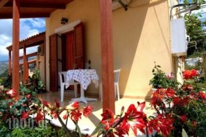 Northwest Studios_holidays_in_Hotel_Ionian Islands_Kefalonia_Argostoli