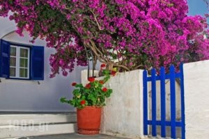 Gaby Rooms_accommodation_in_Room_Cyclades Islands_Sandorini_Fira