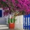 Gaby Rooms_accommodation_in_Room_Cyclades Islands_Sandorini_Fira