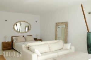 Villa Joy_lowest prices_in_Villa_Cyclades Islands_Mykonos_Mykonos ora