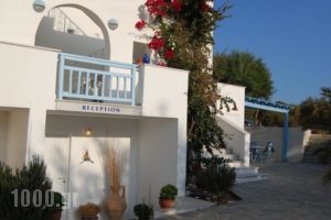 Kalamouria Studios_holidays_in_Hotel_Cyclades Islands_Naxos_Naxos chora