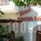 Rania Beach_best deals_Hotel_Aegean Islands_Samos_Ireon