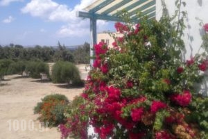 Castello Azzurro_lowest prices_in_Hotel_Cyclades Islands_Naxos_Naxos chora