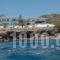 Cypriana Apartments_travel_packages_in_Crete_Lasithi_Anatoli