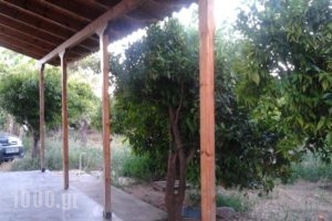 Marilenas Bungalows_best prices_in_Hotel_Peloponesse_Argolida_Kiveri