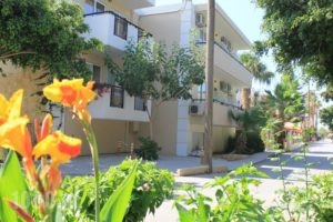 Varvaras Diamond Hotel_best prices_in_Hotel_Crete_Rethymnon_Rethymnon City