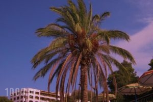 Romantza Mare_best prices_in_Hotel_Dodekanessos Islands_Rhodes_Kallithea