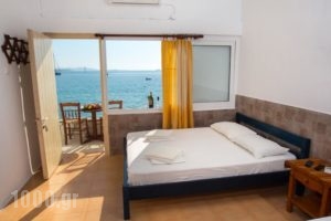 Petalides Apartments_lowest prices_in_Apartment_Cyclades Islands_Paros_Paros Chora