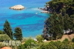 Lithea Villas and Studios by the Sea in  Neo Klima - Elios , Skopelos, Sporades Islands