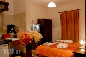 Artemis Apartments_best prices_in_Apartment_Epirus_Ioannina_Konitsa