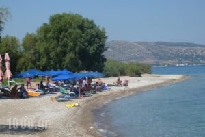 Paris Beach Hotel_travel_packages_in_Dodekanessos Islands_Patmos_Patmos Chora