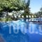 Dafnoudi Hotel Apartments_best deals_Apartment_Ionian Islands_Kefalonia_Kefalonia'st Areas