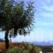 Litiniana Villas_holidays_in_Villa_Crete_Rethymnon_Rethymnon City