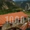 Dryades Guesthouse_best deals_Hotel_Central Greece_Aetoloakarnania_Platanos