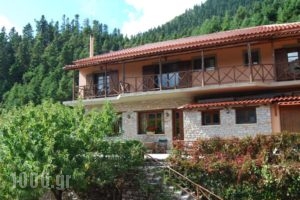 Dryades Guesthouse_best prices_in_Hotel_Central Greece_Aetoloakarnania_Platanos
