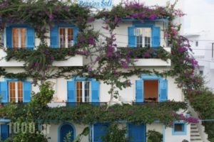 Pension Sofi_accommodation_in_Hotel_Cyclades Islands_Naxos_Naxos chora