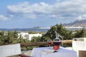 Kedros Villas_best prices_in_Villa_Cyclades Islands_Naxos_Naxos chora