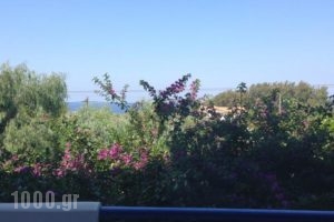 Villa Kambos_holidays_in_Villa_Aegean Islands_Samos_Samos Rest Areas