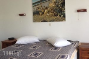 Villa Kambos_best prices_in_Villa_Aegean Islands_Samos_Samos Rest Areas