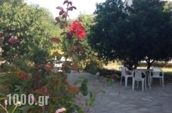 Alekos Rooms And Apartments in Samos Rest Areas, Samos, Aegean Islands