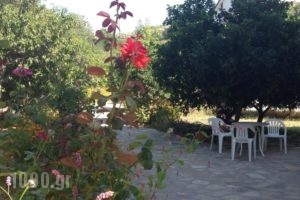 Alekos Rooms And Apartments_accommodation_in_Room_Aegean Islands_Samos_Samosst Areas