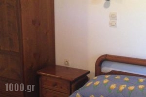 Alekos Rooms And Apartments_best deals_Room_Aegean Islands_Samos_Samosst Areas