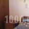 Alekos Rooms And Apartments_best deals_Room_Aegean Islands_Samos_Samosst Areas