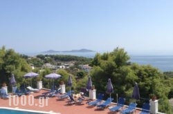 Atrium of Alonissos in Skopelos Chora, Skopelos, Sporades Islands