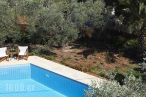 Villa Di Stella_best prices_in_Villa_Crete_Rethymnon_Rethymnon City