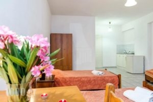 Liris Studios_best prices_in_Hotel_Ionian Islands_Zakinthos_Laganas