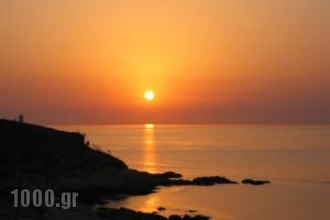 Cavos Bay Hotel & Studios_lowest prices_in_Hotel_Aegean Islands_Ikaria_Raches
