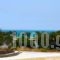Asteras_lowest prices_in_Hotel_Cyclades Islands_Antiparos_Antiparos Chora