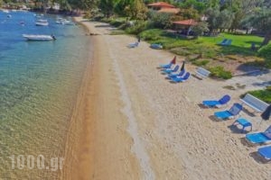 Anna Karra Studios & Apartments_best deals_Apartment_Macedonia_Halkidiki_Chalkidiki Area