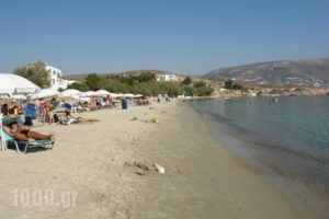Krios Beach Camping_accommodation_in_Hotel_Cyclades Islands_Paros_Paros Chora