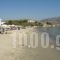 Krios Beach Camping_accommodation_in_Hotel_Cyclades Islands_Paros_Paros Chora