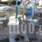 Villa Sophie_accommodation_in_Villa_Cyclades Islands_Paros_Piso Livadi