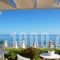 Talgo Apartments_best deals_Apartment_Crete_Heraklion_Stalida