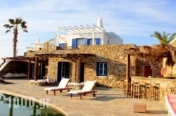 Villa Maria Boutique Apartments in Elia, Mykonos, Cyclades Islands