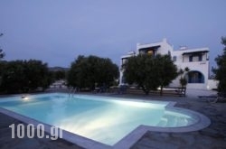 Diamantis Studios&Apartments in Mikri Vigla, Naxos, Cyclades Islands