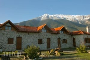 Elounda Olive Garden Apts & Studios_accommodation_in_Hotel_Central Greece_Fthiotida_Amfiklia